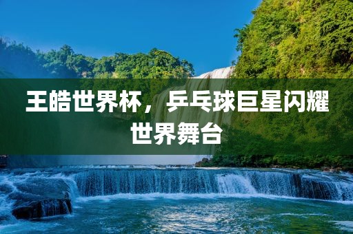 王皓世界杯，乒乓球巨星闪耀眉山市正发家政服务有限公司世界舞台