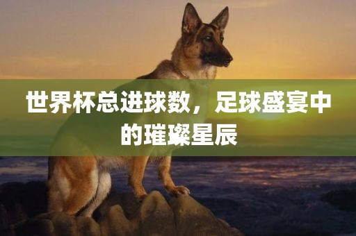 世界杯总进球数，足球盛宴中的璀璨星辰眉山市正发家政服务有限公司