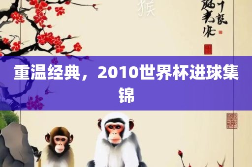 重温经典，2010世界杯进球集锦眉山市正发家政服务有限公司