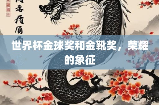 世界杯金球奖和金靴奖，荣耀的象征眉山市正发家政服务有限公司