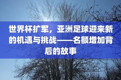 世界杯扩军，亚洲足球迎来新的机遇与挑战——名额增加背后的故事