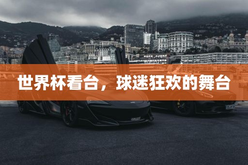世界杯看台，球迷狂欢的舞台眉山市正发家政服务有限公司