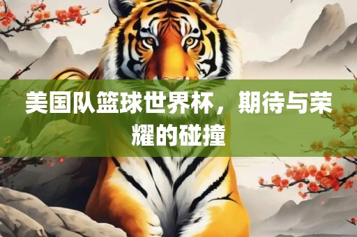 美国队篮球世界杯，期待与荣耀的碰撞眉山市正发家政服务有限公司
