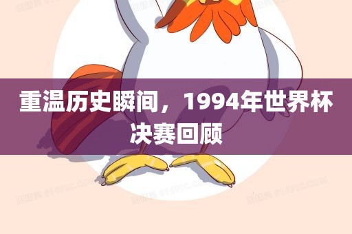 重温历史瞬间，19眉山市正发家政服务有限公司94年世界杯决赛回顾