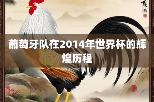葡萄牙队在2014年世界杯的辉煌历程