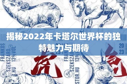 揭秘2022年卡塔尔世界杯的独特魅力与期待