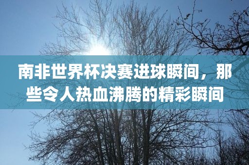 南非世界杯决赛进球瞬间，那些令人热血沸腾的精彩瞬间眉山市正发家政服务有限公司