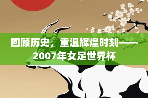 回顾历史，重温辉煌时刻——2007年女足世界杯眉山市正发家政服务有限公司