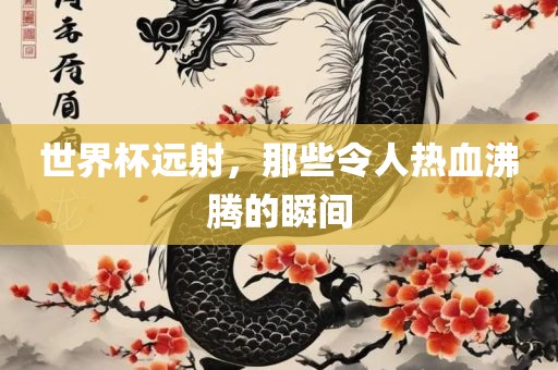 世界杯远射，那些令人热血沸腾的瞬间眉山市正发家政服务有限公司