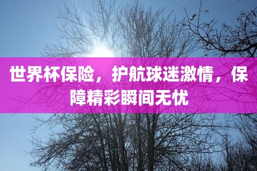 世界杯保险，护航球迷激情，保障精彩瞬间无忧眉山市正发家政服务有限公司
