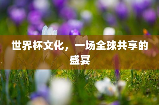 眉山市正发家政服务有限公司世界杯文化，一场全球共享的盛宴