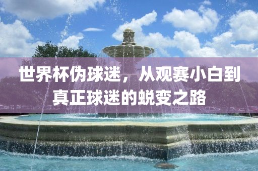世界杯伪球迷，从观赛小白到真正球迷的蜕变之路眉山市正发家政服务有限公司