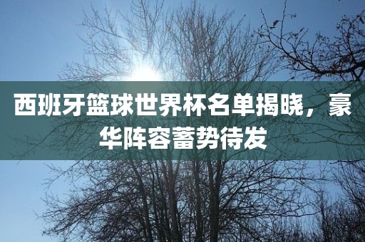 西班牙篮球世界杯名单揭晓，豪华阵容蓄势待发