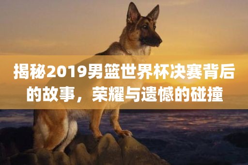 揭秘2019男篮世界杯决赛背后的故事，荣耀与遗憾的碰撞眉山市正发家政服务有限公司