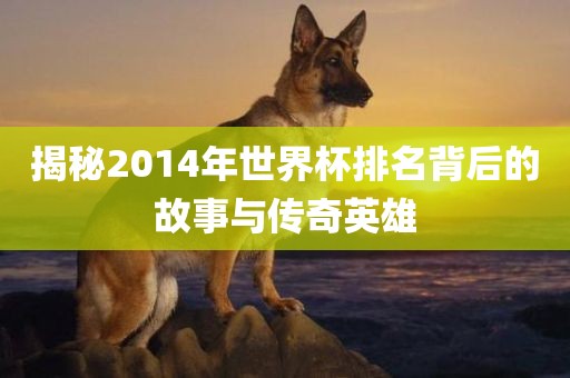 揭秘2014年世界杯排名背后的故事与传奇英雄