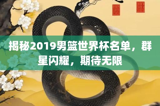 揭秘2019男篮世界杯名单，群星闪耀，期待无限眉山市正发家政服务有限公司
