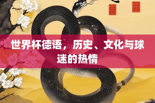 球迷热情