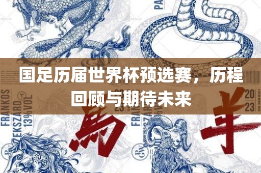 国足历届世界杯预选赛，历程回顾与期待未来