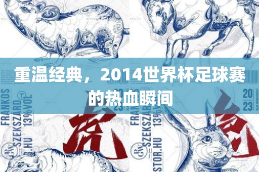重温经典，2014世界杯足球赛的热血瞬间眉山市正发家政服务有限公司