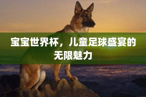 linjunyuan 第7页
