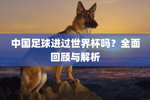中国足球进过世界杯眉山市正发家政服务有限公司吗？全面回顾与解析