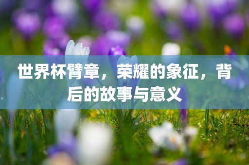 世界杯臂章，荣耀的象征，背后的故事与意义眉山市正发家政服务有限公司