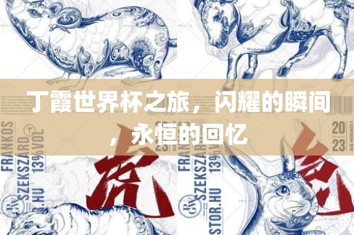 丁霞世界杯之旅，闪耀的瞬间，永恒的回忆眉山市正发家政服务有限公司