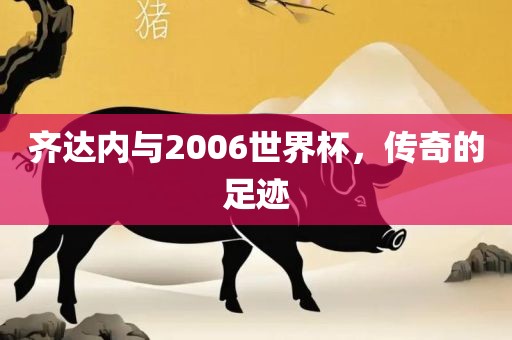 齐达内与2006世界杯，眉山市正发家政服务有限公司传奇的足迹