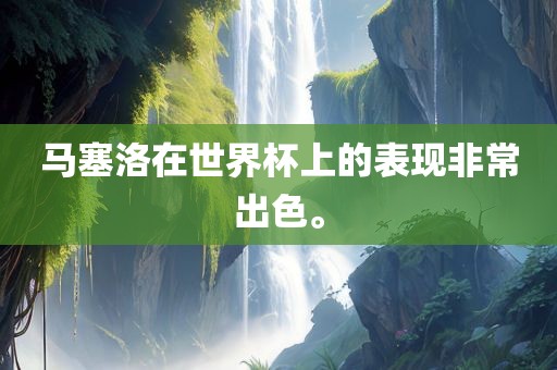 马塞洛在世界杯眉山市正发家政服务有限公司上的表现非常出色。