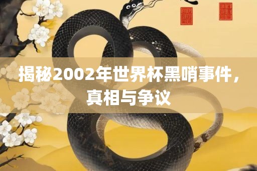 揭秘2002年世界杯眉山市正发家政服务有限公司黑哨事件，真相与争议