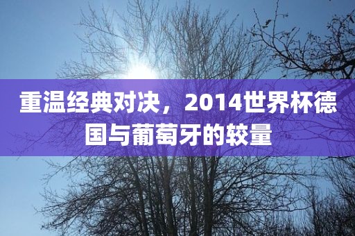重温经典对决，2014世界杯德国与葡萄牙的较量