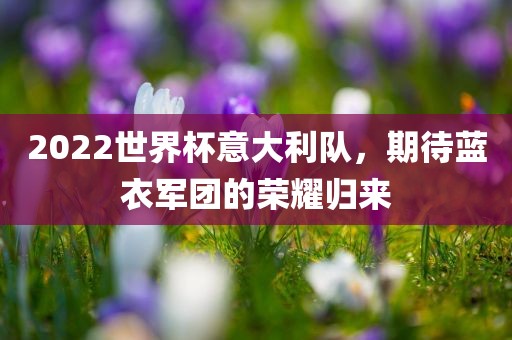 2022世界杯意大利队，期待蓝衣军团的荣耀归来