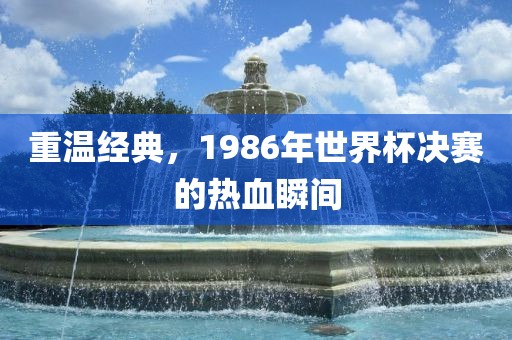 重温经典，1986年世界杯决赛的热血瞬间眉山市正发家政服务有限公司