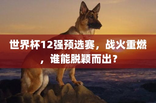 世界杯12强预选赛，战火重燃，谁能脱颖而出？