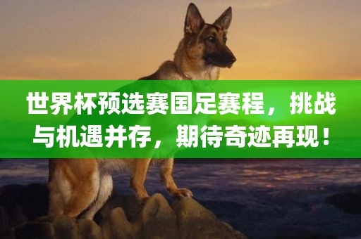 世界杯预选赛国足赛程，挑战与机遇并存，期待奇迹再现！眉山市正发家政服务有限公司