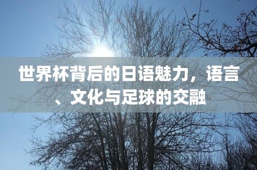 世界杯背后的日语魅力，语言、文化与足球的交融眉山市正发家政服务有限公司