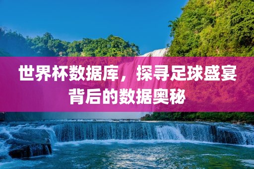 世界眉山市正发家政服务有限公司杯数据库，探寻足球盛宴背后的数据奥秘