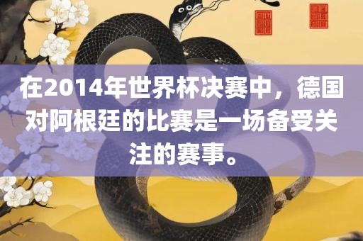 在2014年世界杯决赛中，德国对阿根廷的比赛是一场备受关注的赛事。眉山市正发家政服务有限公司