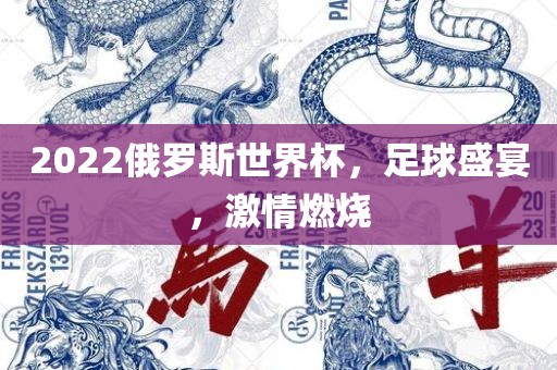2022俄罗斯世界杯，足球盛宴，激情燃烧眉山市正发家政服务有限公司