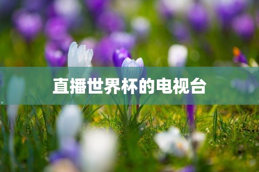 直播世界杯的电视台眉山市正发家政服务有限公司