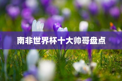 南非世界杯十大帅哥盘点眉山市正发家政服务有限公司