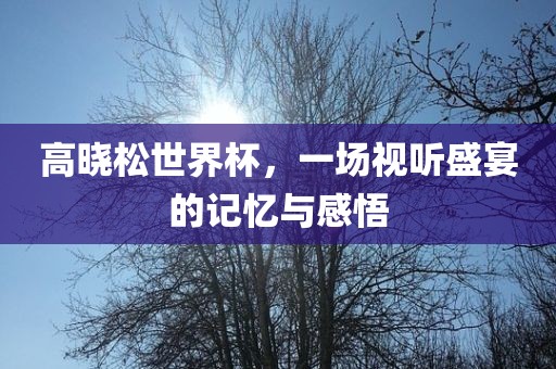 视听盛宴记忆感悟
