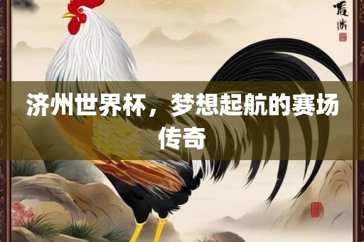 济州世界杯，梦想起航的赛场传奇