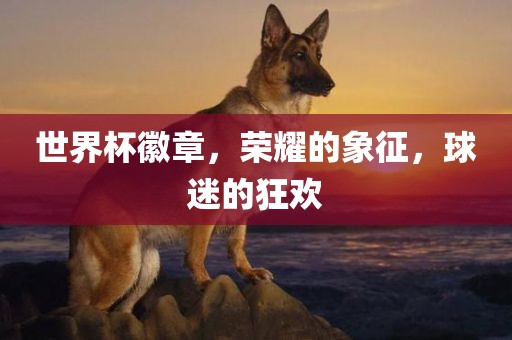 世界杯徽章，荣耀的象征，球迷的狂欢