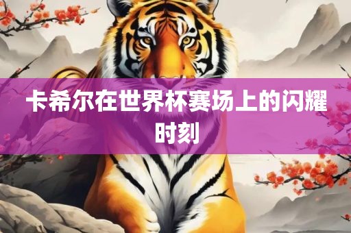卡希尔在世界杯赛场上的闪耀时刻