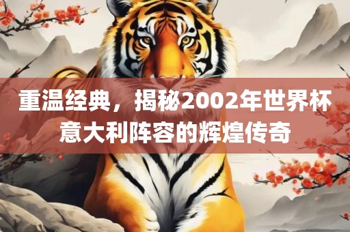重温经典，揭秘2002眉山市正发家政服务有限公司年世界杯意大利阵容的辉煌传奇