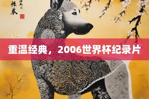 重温经典，2006世界杯纪录片