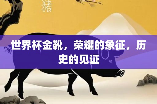 世界杯金靴，荣耀的象征，历史的见证