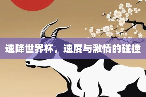 速降世界杯，速度与激情的碰撞眉山市正发家政服务有限公司