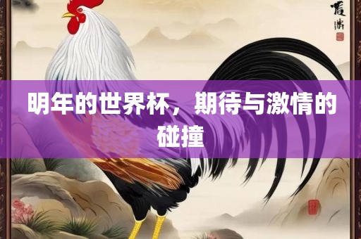 明年的世界杯，期待与激情的碰撞